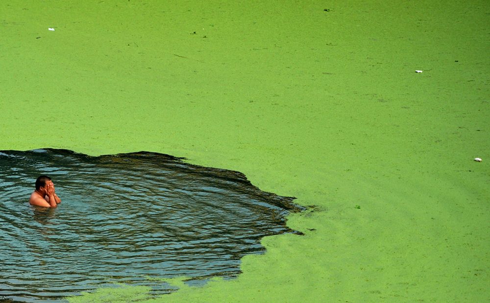 research work on water pollution